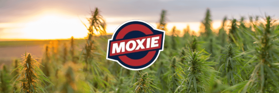 The History of Moxie